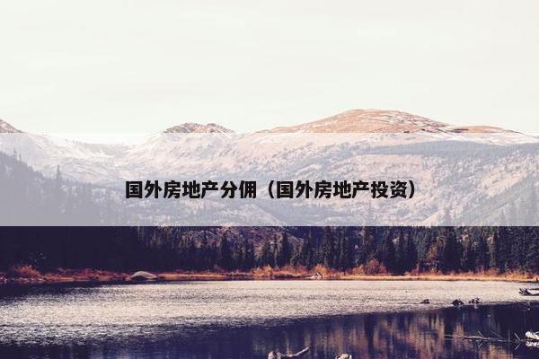 国外房地产分佣（国外房地产投资）