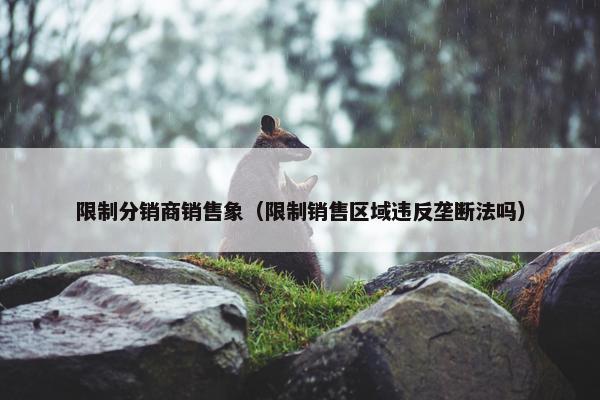 限制分销商销售象（限制销售区域违反垄断法吗）
