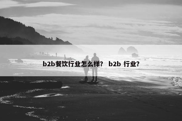 b2b餐饮行业怎么样？ b2b 行业？