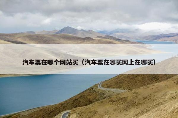 汽车票在哪个网站买（汽车票在哪买网上在哪买）