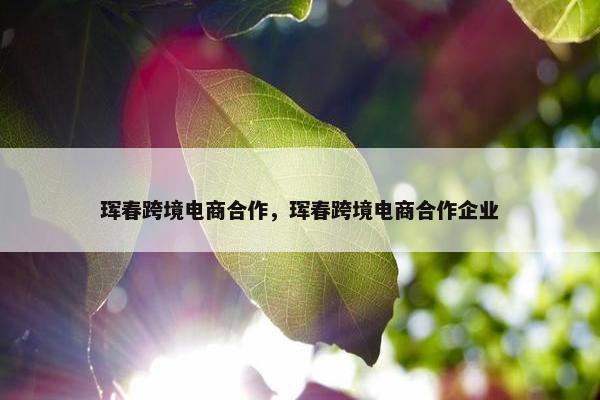 珲春跨境电商合作，珲春跨境电商合作企业