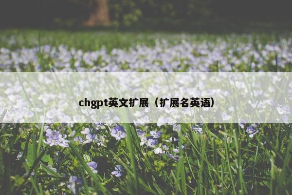 chgpt英文扩展（扩展名英语）