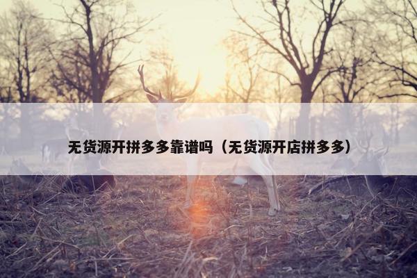 无货源开拼多多靠谱吗（无货源开店拼多多）