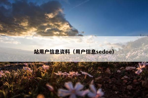 站用户信息资料（用户信息sedoe）