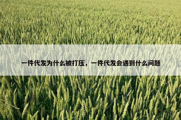 一件代发为什么被打压，一件代发会遇到什么问题