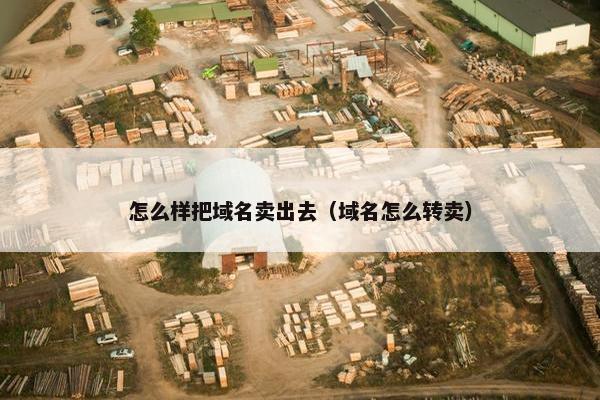 怎么样把域名卖出去（域名怎么转卖）