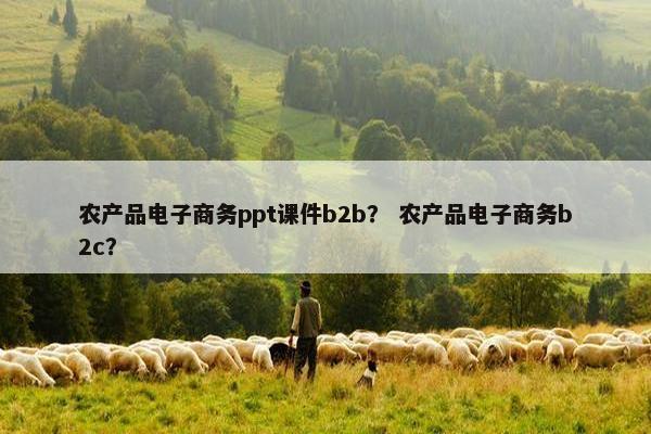 农产品电子商务ppt课件b2b？ 农产品电子商务b2c？