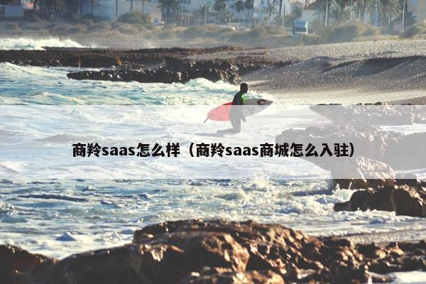 商羚saas怎么样（商羚saas商城怎么入驻）