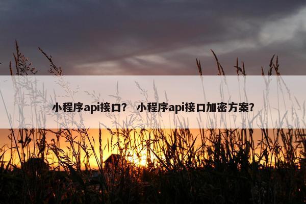 小程序api接口？ 小程序api接口加密方案？