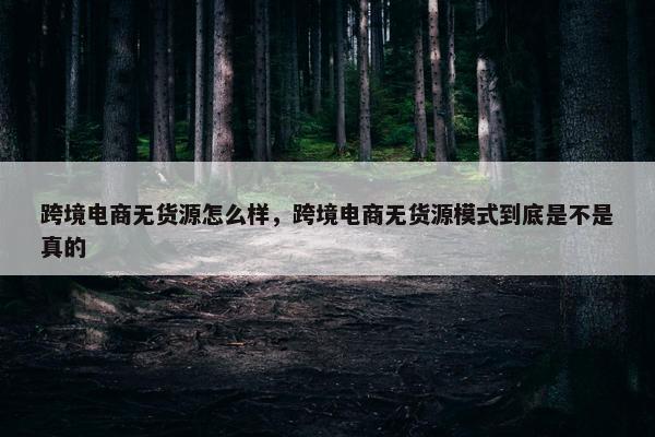跨境电商无货源怎么样，跨境电商无货源模式到底是不是真的