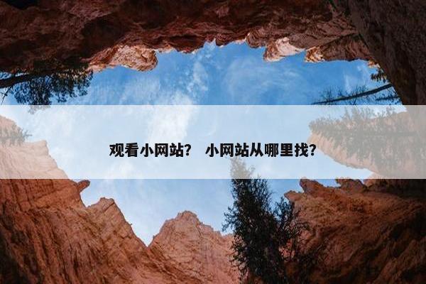 观看小网站？ 小网站从哪里找？