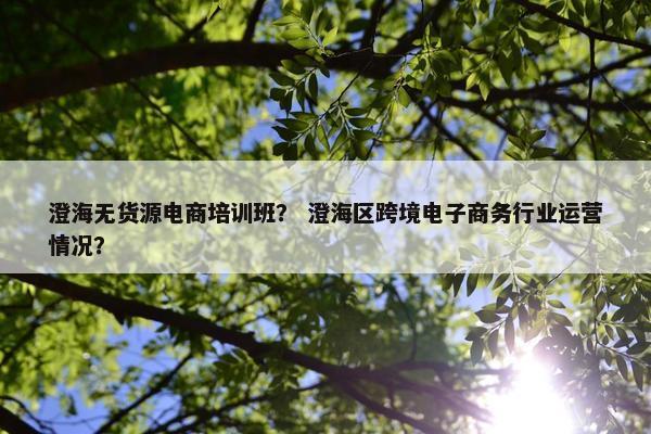 澄海无货源电商培训班？ 澄海区跨境电子商务行业运营情况？