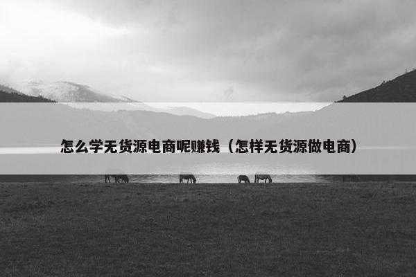 怎么学无货源电商呢赚钱（怎样无货源做电商）
