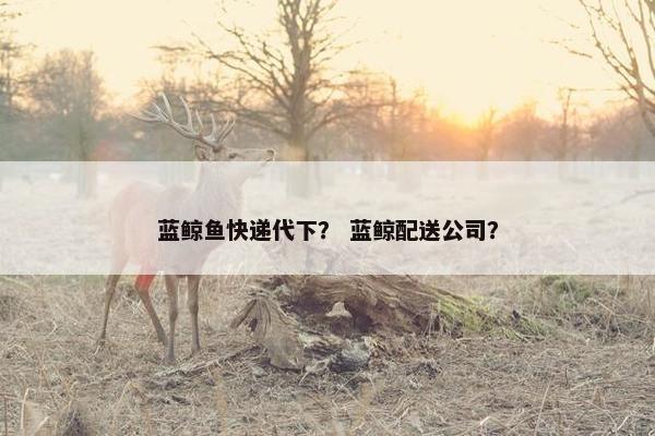 蓝鲸鱼快递代下？ 蓝鲸配送公司？