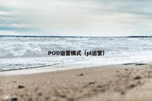 POD运营模式（pl运营）