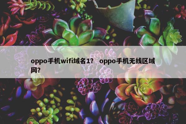 oppo手机wifi域名1？ oppo手机无线区域网？