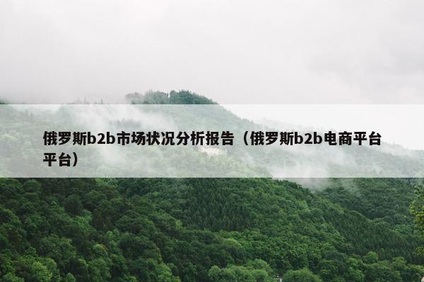 俄罗斯b2b市场状况分析报告（俄罗斯b2b电商平台平台）