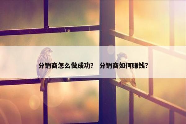 分销商怎么做成功？ 分销商如何赚钱？