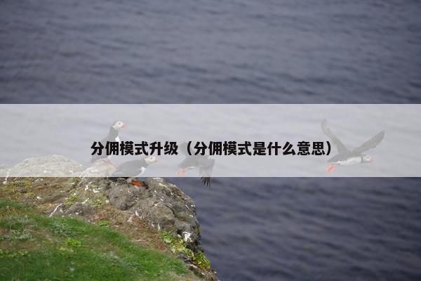 分佣模式升级（分佣模式是什么意思）