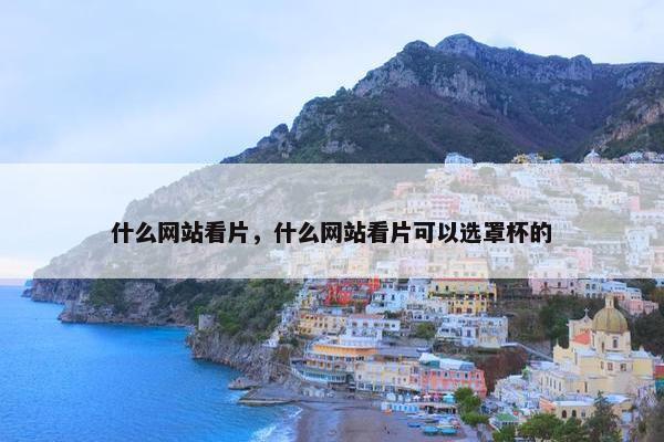 什么网站看片，什么网站看片可以选罩杯的
