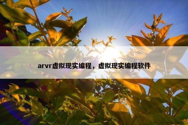 arvr虚拟现实编程，虚拟现实编程软件