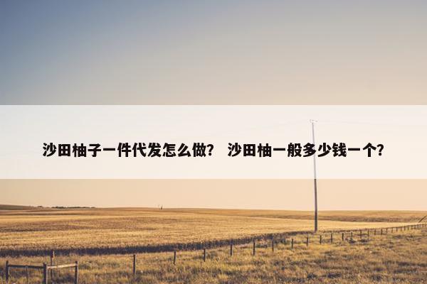 沙田柚子一件代发怎么做？ 沙田柚一般多少钱一个？