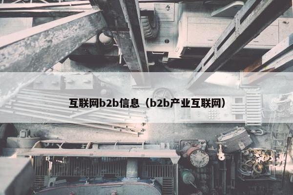 互联网b2b信息（b2b产业互联网）