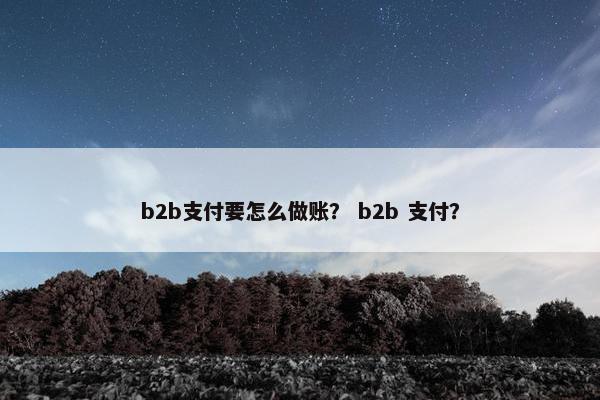b2b支付要怎么做账？ b2b 支付？