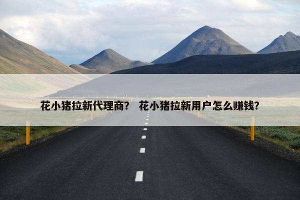 花小猪拉新代理商？ 花小猪拉新用户怎么赚钱？