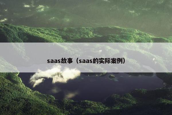 saas故事（saas的实际案例）