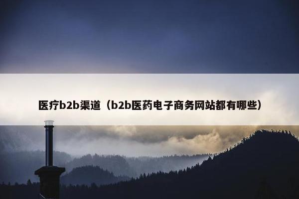 医疗b2b渠道（b2b医药电子商务网站都有哪些）