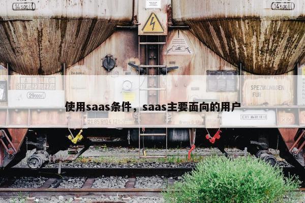 使用saas条件，saas主要面向的用户
