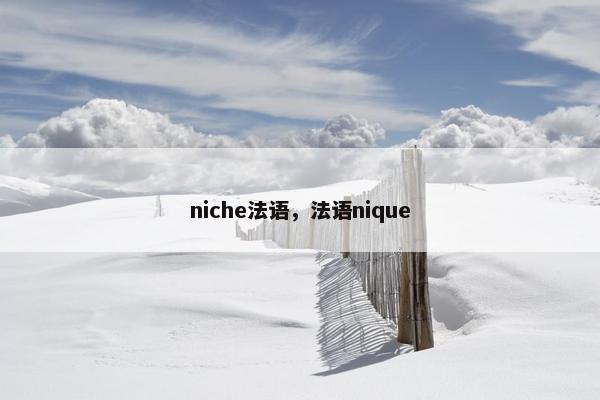 niche法语，法语nique
