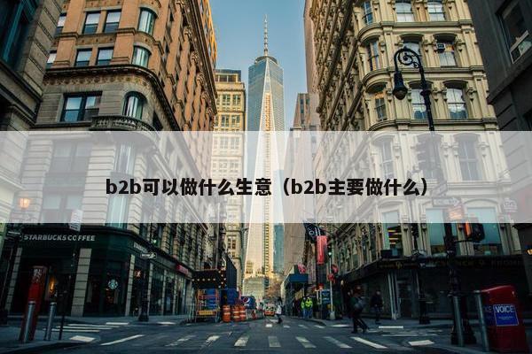 b2b可以做什么生意（b2b主要做什么）