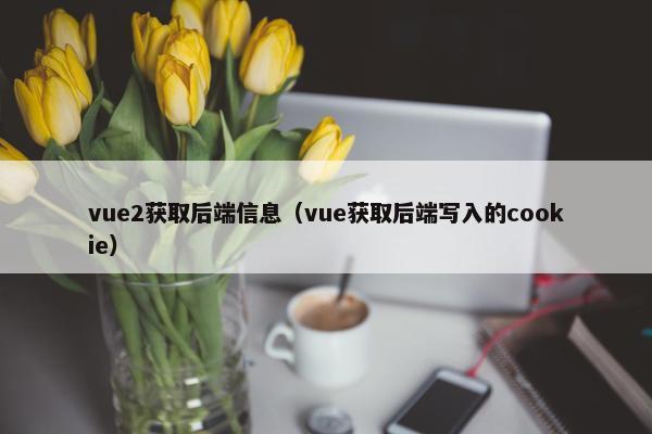 vue2获取后端信息（vue获取后端写入的cookie）