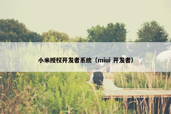 小米授权开发者系统（miui 开发者）