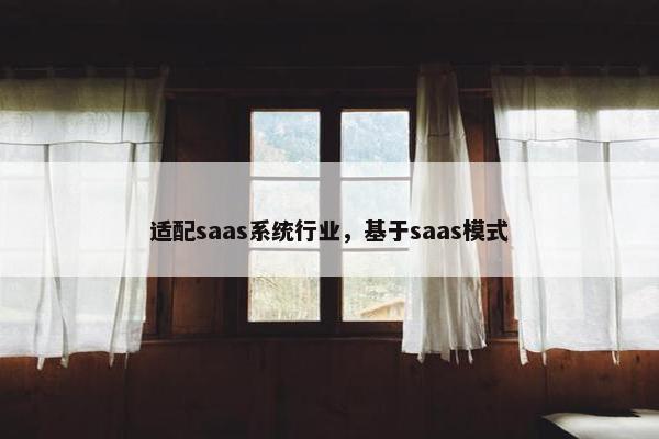 适配saas系统行业，基于saas模式
