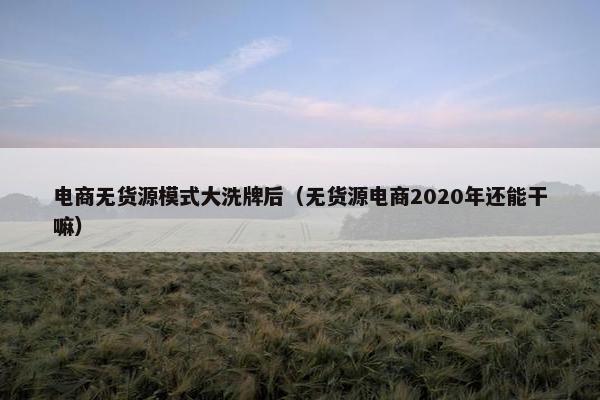 电商无货源模式大洗牌后（无货源电商2020年还能干嘛）