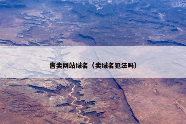 售卖网站域名（卖域名犯法吗）
