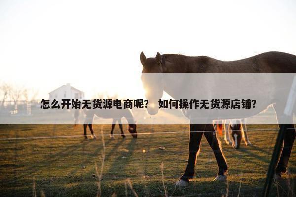 怎么开始无货源电商呢？ 如何操作无货源店铺？