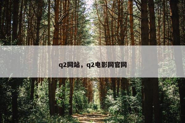 q2网站，q2电影网官网