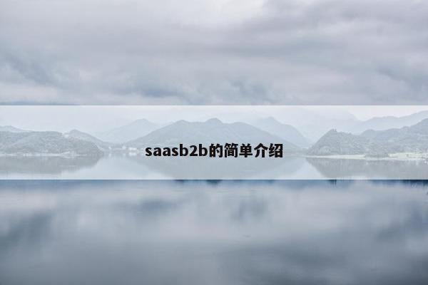 saasb2b的简单介绍