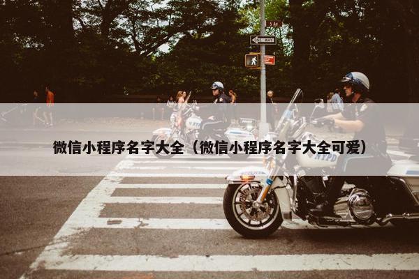 微信小程序名字大全（微信小程序名字大全可爱）