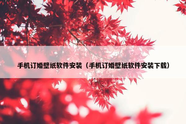 手机订婚壁纸软件安装（手机订婚壁纸软件安装下载）