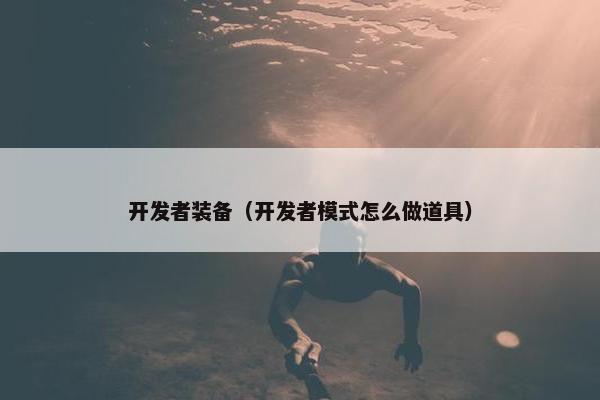 开发者装备（开发者模式怎么做道具）