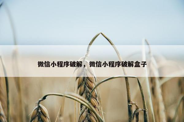 微信小程序破解，微信小程序破解盒子
