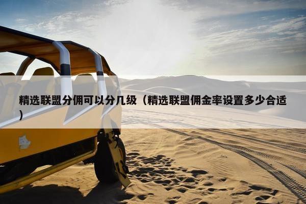 精选联盟分佣可以分几级（精选联盟佣金率设置多少合适）