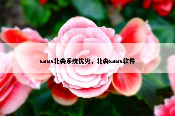 saas北森系统优势，北森saas软件