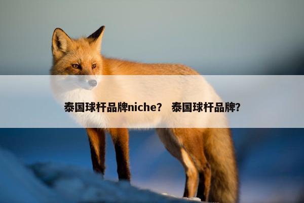 泰国球杆品牌niche？ 泰国球杆品牌？
