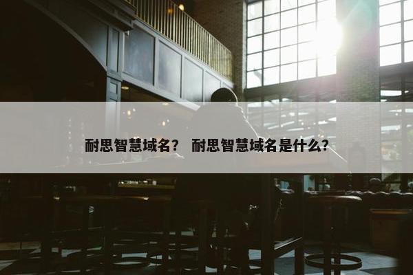 耐思智慧域名？ 耐思智慧域名是什么？